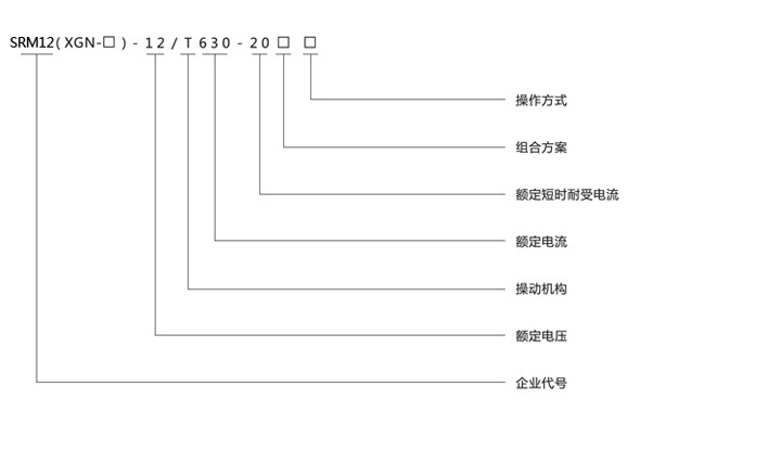 式電氣開關(guān)設(shè)備型號(hào)示意圖