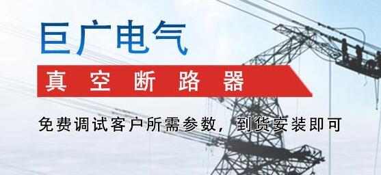 浙江zw20真空斷路器廠家